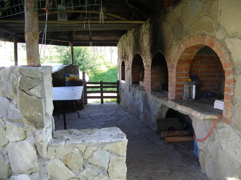 Cabana Poiana Galdei エクステリア 写真
