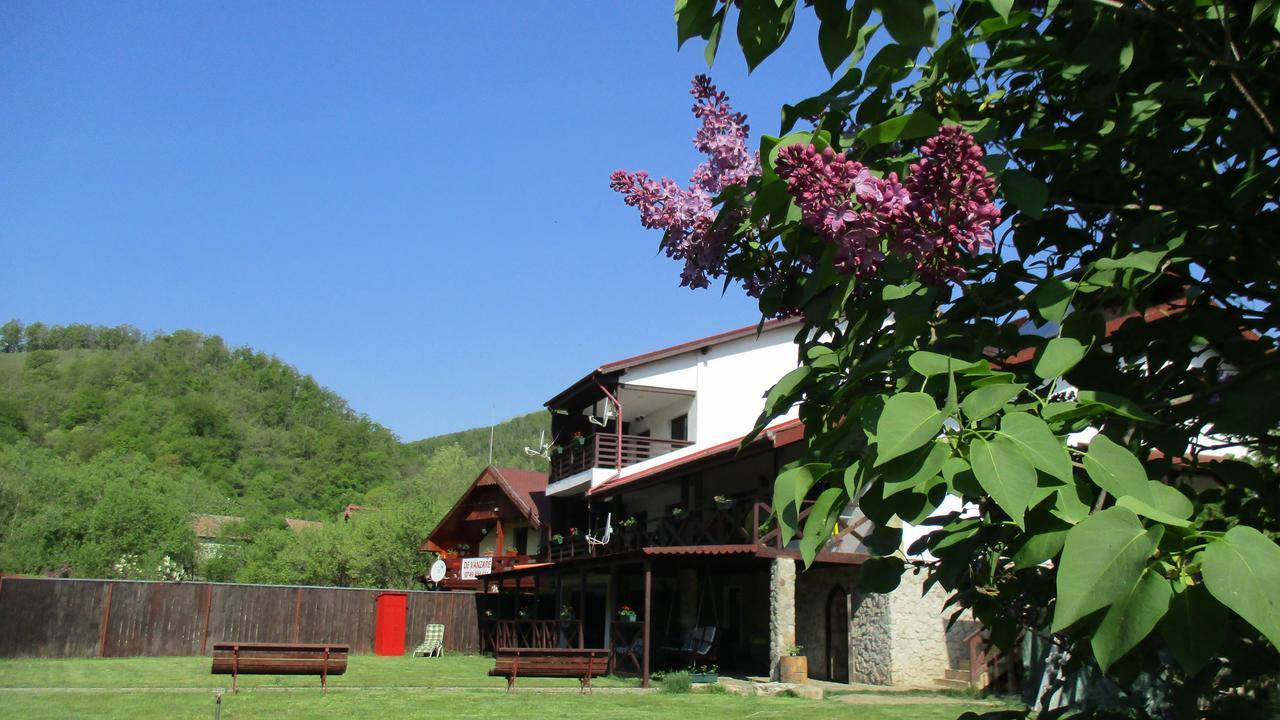 Cabana Poiana Galdei エクステリア 写真